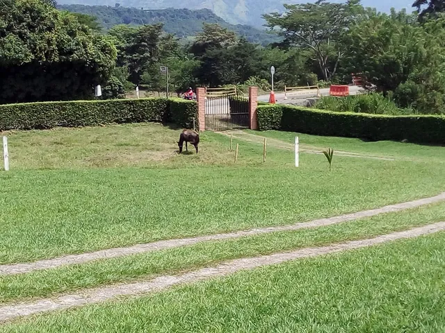 Se Vende CASA DE VERANO En El Km 41, Manizales - Foto 39