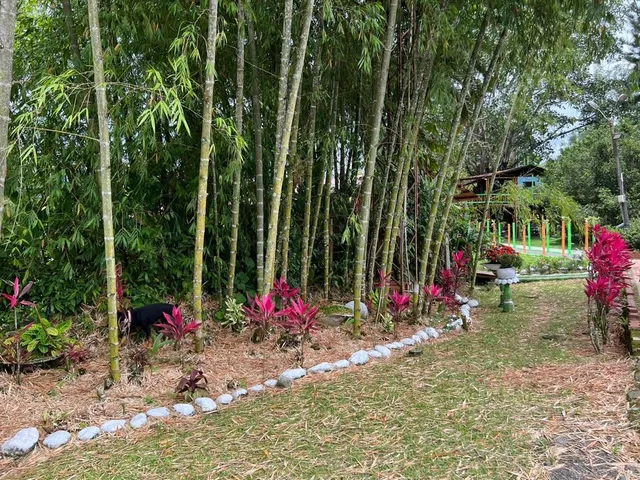 SE VENDE ECOHOTEL PEREIRA, COMBIA - Foto 20
