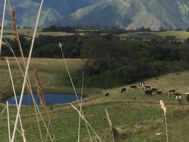 Se vende finca agrícola ganadera, Valle Del Cauca. Barragán - Foto 7