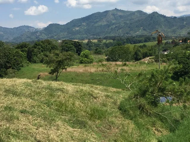 Se vende lote campestre, Pereira,Cerritos - Foto 7