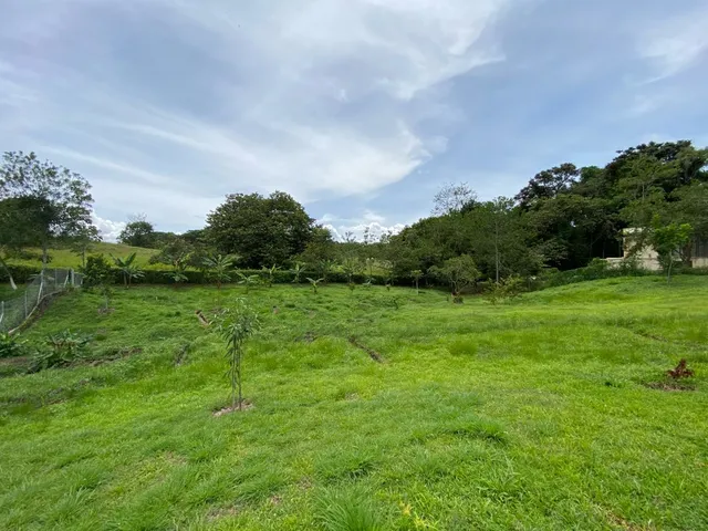 Se vende lote Viterbo Caldas - Foto 6