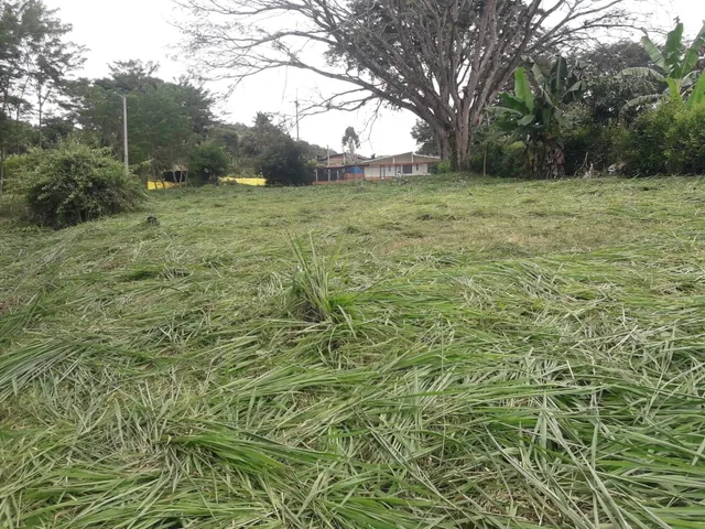 Se Vende Lote Vereda El Rio, Neira - Foto 5