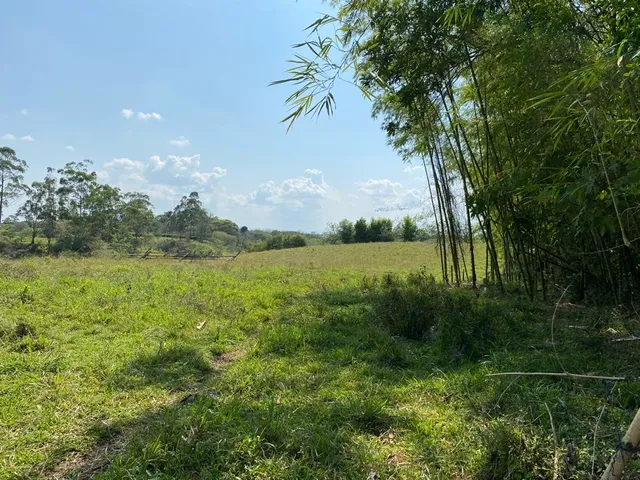 Se vende Lote, campestre, Pereira, Cerritos. - Foto 5