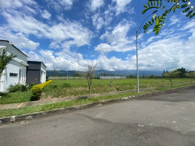 SE VENDE LOTE, VITERBO, CALDAS - Foto 17