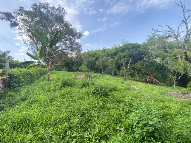 SE VENDE LOTE SUBURBANO PEREIRA, CERRITOS - Foto 3
