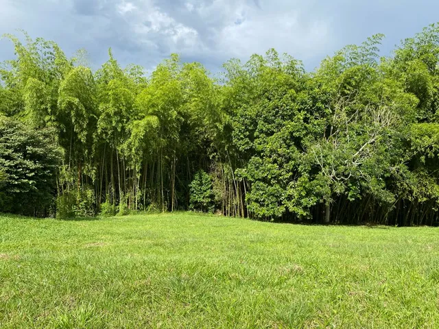 SE VENDE LOTE CAMPESTRE, PEREIRA, CERRITOS MALABAR - Foto 32