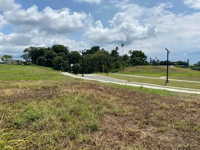 Se vende Lotes Campestres Pereira Cerritos - Foto 18