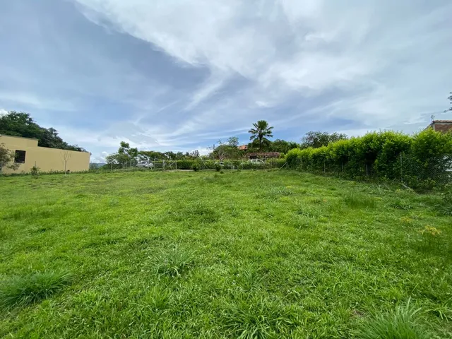 Se vende lote Viterbo Caldas - Foto 5