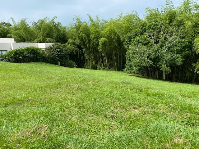 SE VENDE LOTE CAMPESTRE, PEREIRA, CERRITOS MALABAR - Foto 14