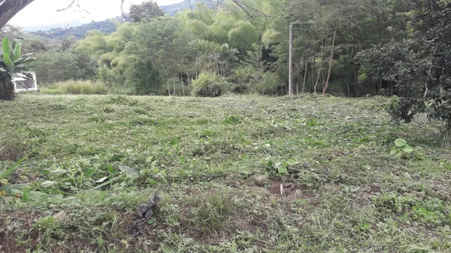 Se Vende Lote Vereda El Rio, Neira - Foto 13