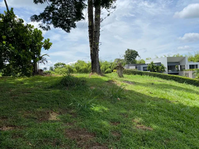 SE VENDE LOTE PEREIRA CERRITOS MALABAR - Foto 7