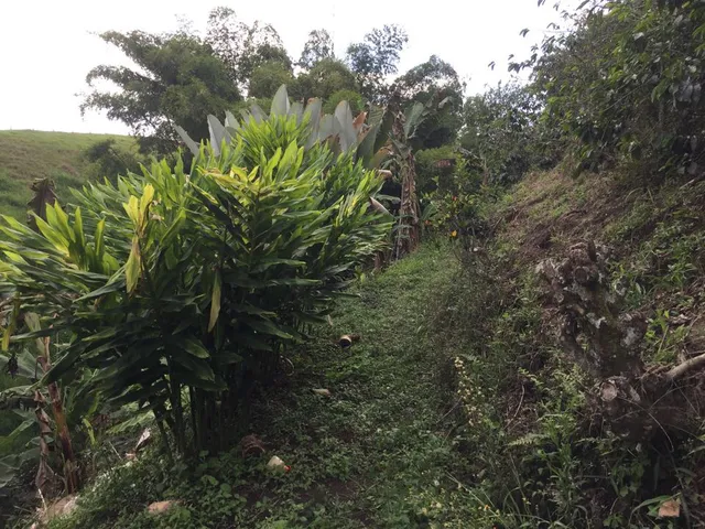 SE VENDE LOTE, PEREIRA, VIA CONDINA - Foto 10