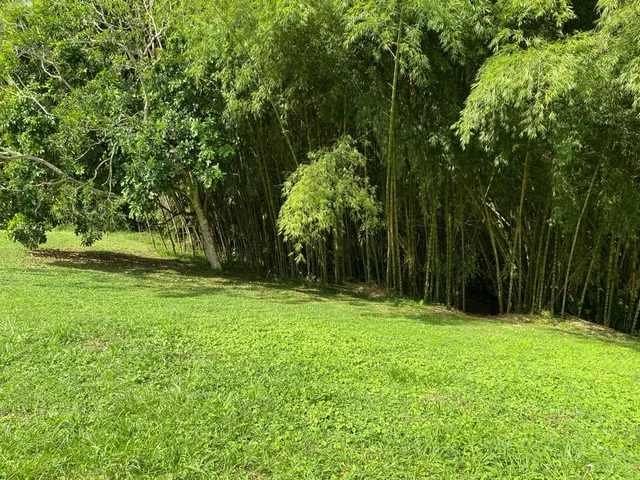 SE VENDE LOTE CAMPESTRE, PEREIRA, CERRITOS MALABAR - Foto 2