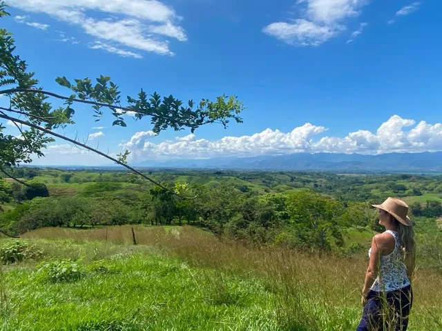 Se Venden Lote Campestre Cerritos, Pereira - Foto 10