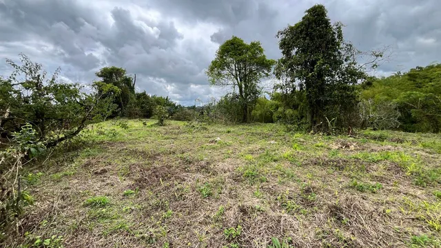 Se vende lote campestre Alcala Valle