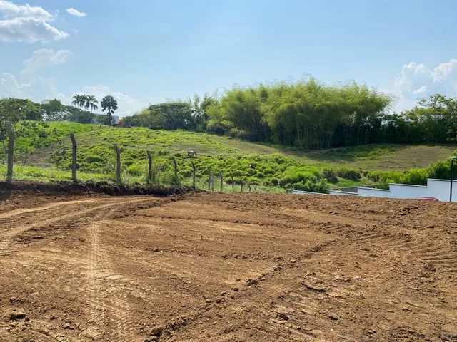 Se vende lote, Pereira, Cerritos - Foto 6