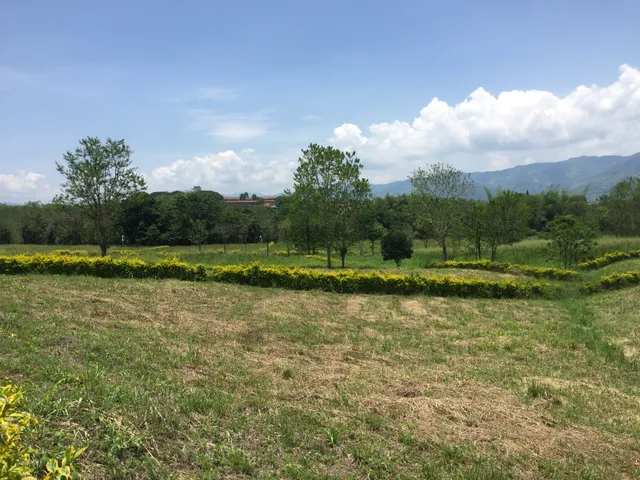 Se vende Lote en Viterbo, Caldas - Foto 11