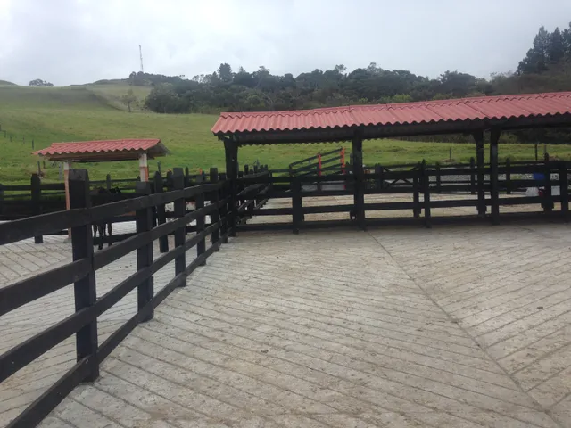 Se vende finca agrícola ganadera, Valle Del Cauca. Barragán - Foto 13