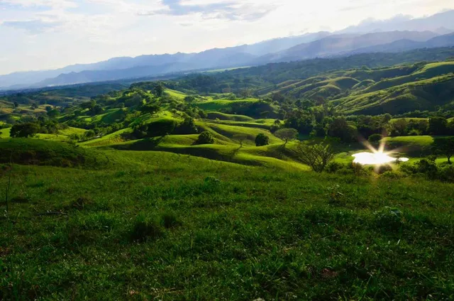 Se Venden Lote Campestre Cerritos, Pereira - Foto 7