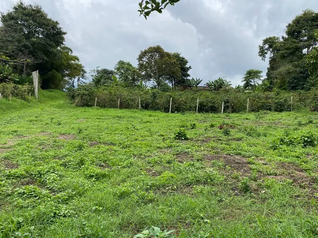 Se vende Lote Campestre, Pereira, Mundo Nuevo - Foto 9