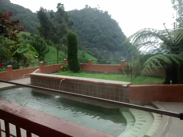 Se Vende Finca en Villamaría, Parque los Nevados. - Foto 9