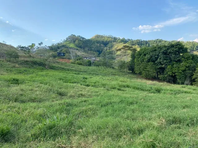 Se Vende Lote Campestre Pereira, Cerritos - Foto 6