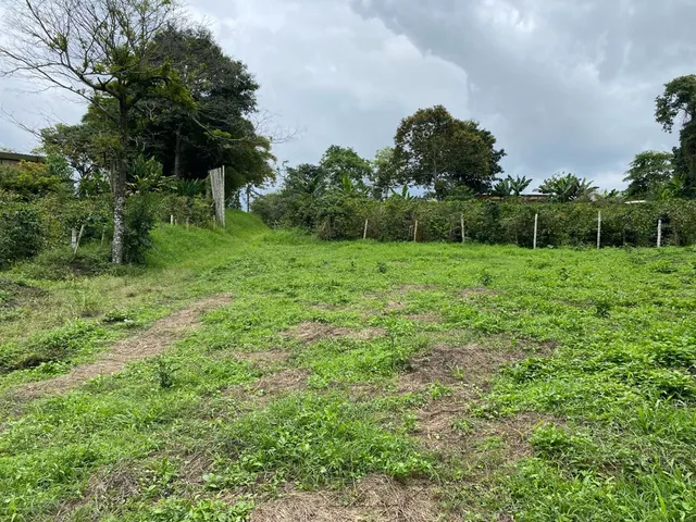 Se vende Lote Campestre, Pereira, Mundo Nuevo - Foto 13
