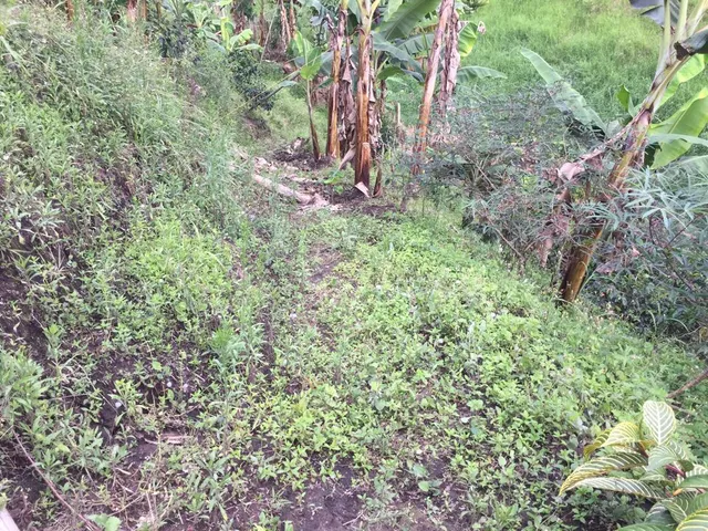 SE VENDE LOTE, PEREIRA, VIA CONDINA - Foto 19
