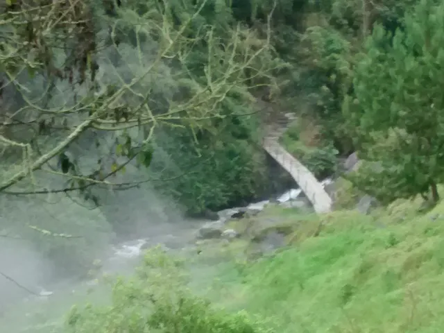 Se Vende Finca en Villamaría, Parque los Nevados. - Foto 3