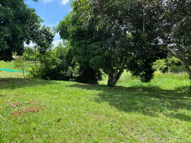 SE VENDE LOTE PEREIRA CERRITOS MALABAR - Foto 18