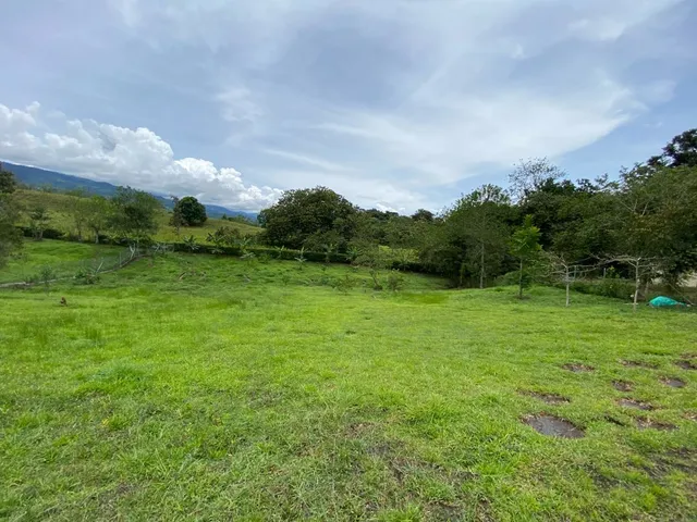 Se vende lote Viterbo Caldas - Foto 2