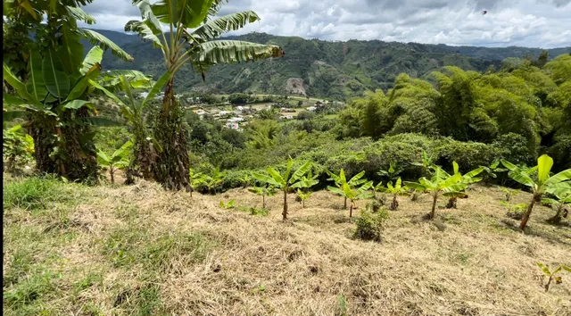 Se Vende Lote Manizales, el agrado - Foto 16