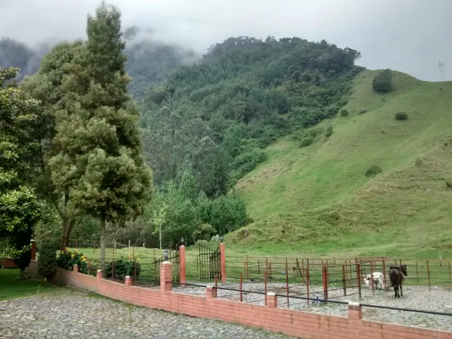 Se Vende Finca en Villamaría, Parque los Nevados. - Foto 15