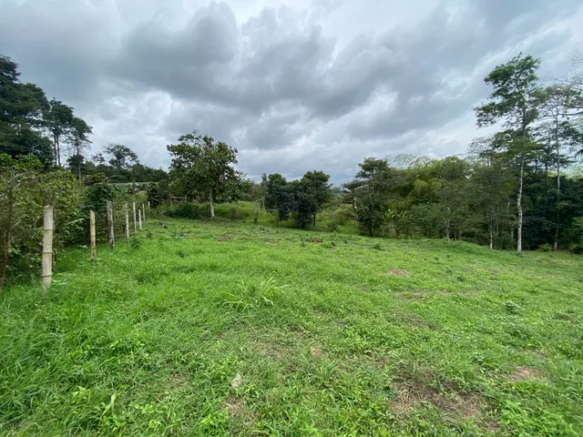 Se vende Lote Campestre, Pereira, Mundo Nuevo - Foto 19