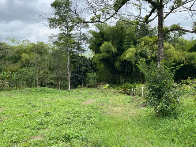 Se vende Lote Campestre, Pereira, Mundo Nuevo - Foto 15