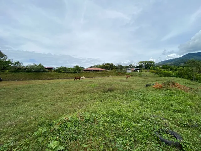 Se vende lote Viterbo Caldas - Foto 16