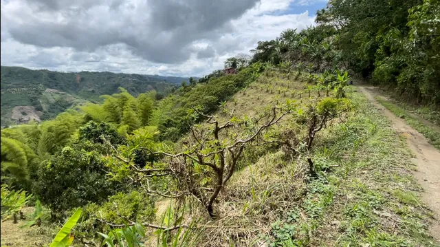 Se Vende Lote Manizales, el agrado - Foto 15