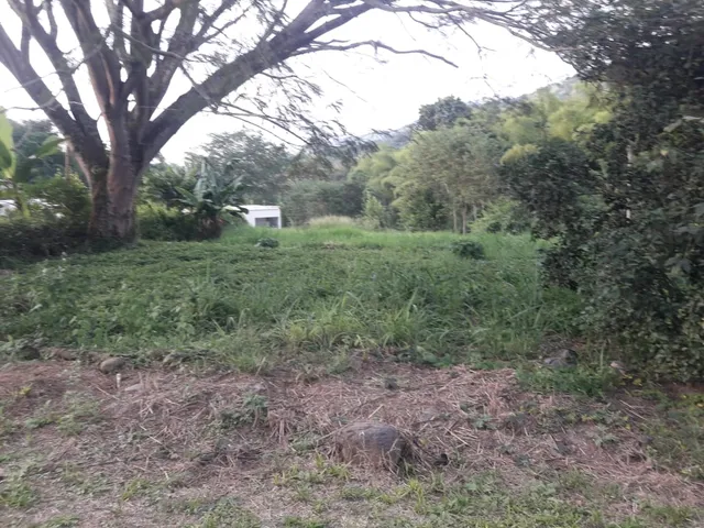 Se Vende Lote Vereda El Rio, Neira - Foto 8