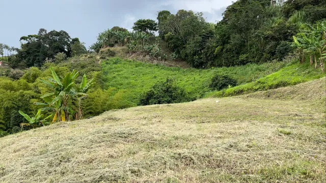 Se Vende Lote Manizales, el agrado - Foto 4