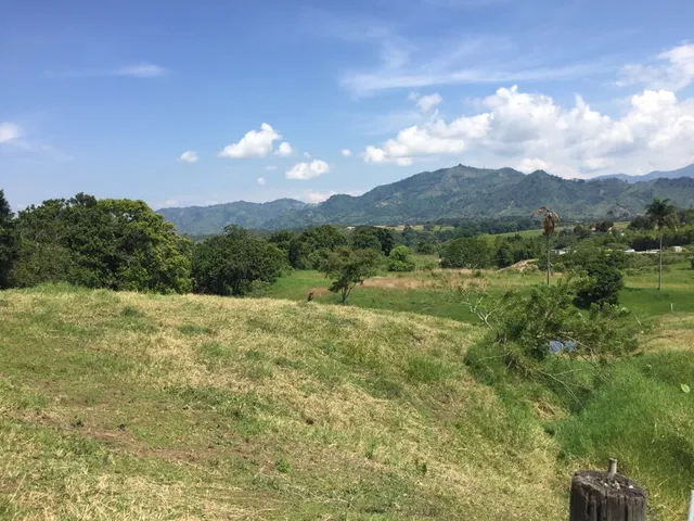 Se vende lote campestre, Pereira,Cerritos - Foto 6