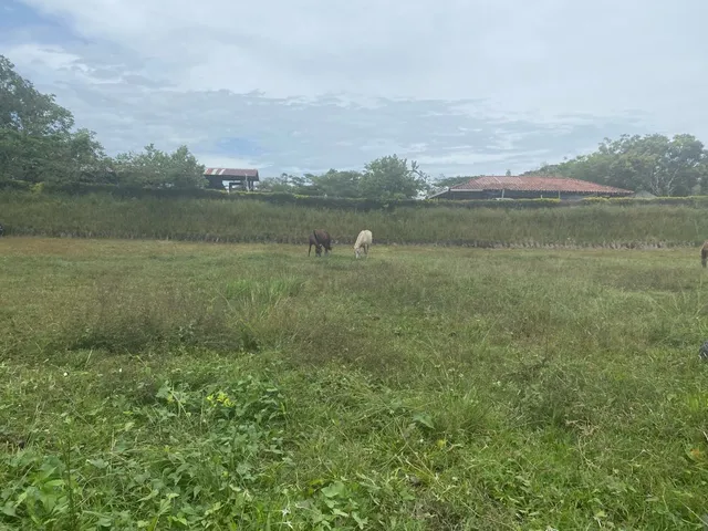 Se vende lote Viterbo Caldas - Foto 12