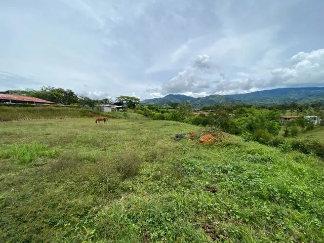 Se vende lote Viterbo Caldas - Foto 6