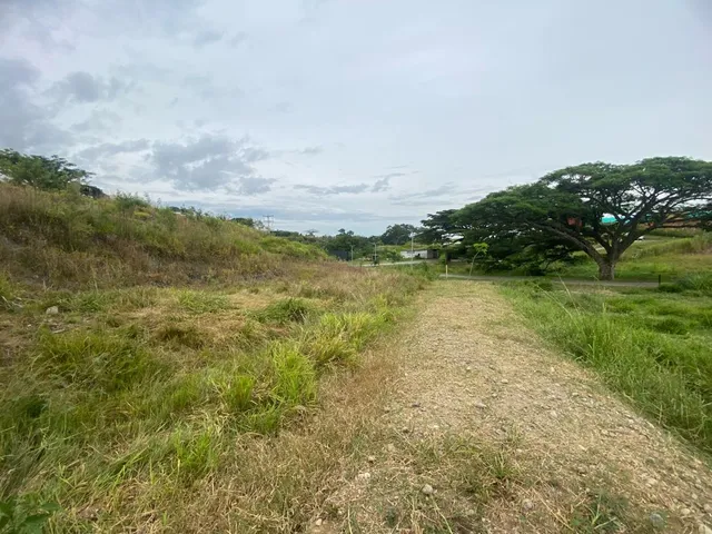 SE VENDE LOTE, PEREIRA, CERRITOS - Foto 15