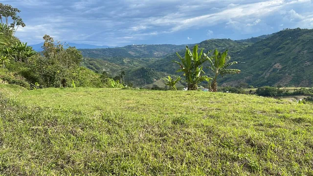 Se Vende Lote Manizales, el agrado - Foto 11