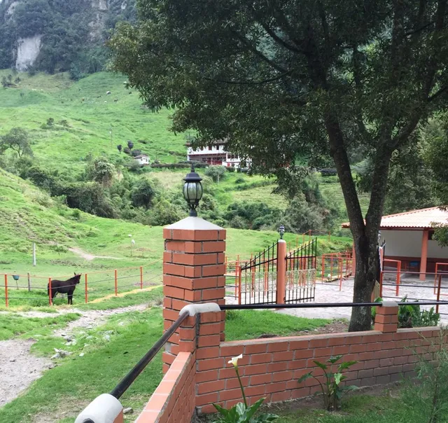 Se Vende Finca en Villamaría, Parque los Nevados. - Foto 6