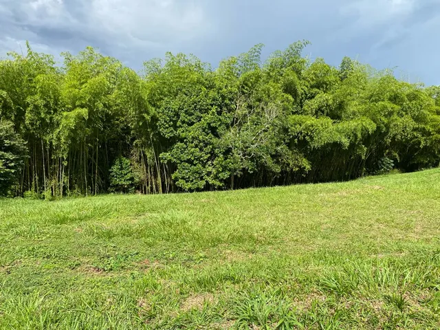 SE VENDE LOTE CAMPESTRE, PEREIRA, CERRITOS MALABAR - Foto 33