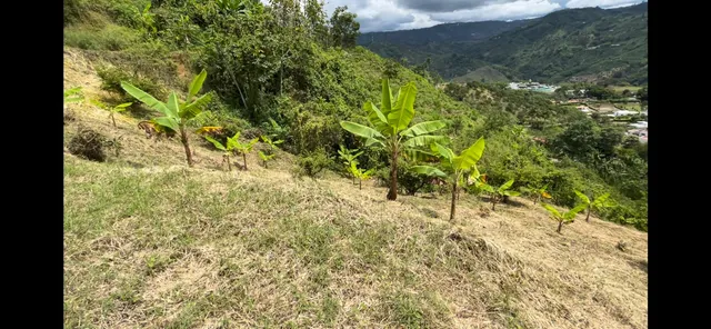 Se Vende Lote Manizales, el agrado - Foto 6