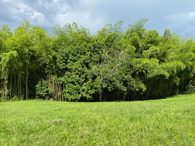 SE VENDE LOTE CAMPESTRE, PEREIRA, CERRITOS MALABAR - Foto 27