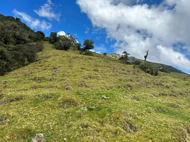 Se Vende Finca en Letras Caldas - Foto 10