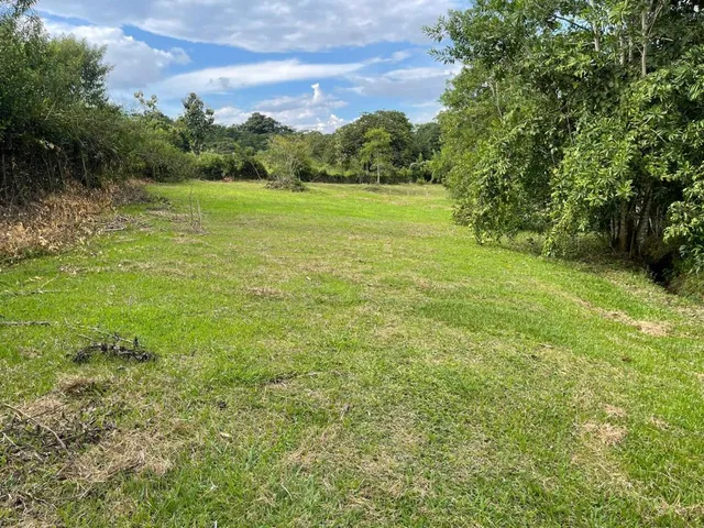 SE VENDE LOTE CAMPESTRE, VITERBO, CALDAS - Foto 5
